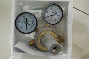 氮气减压器/YQD-0.7 2.5/25MPA
