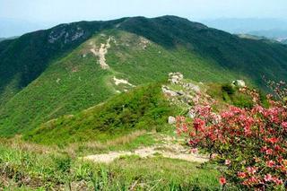 4.23日宁国黑洞瀑布群-铁匠山徒步，赏高山杜鹃