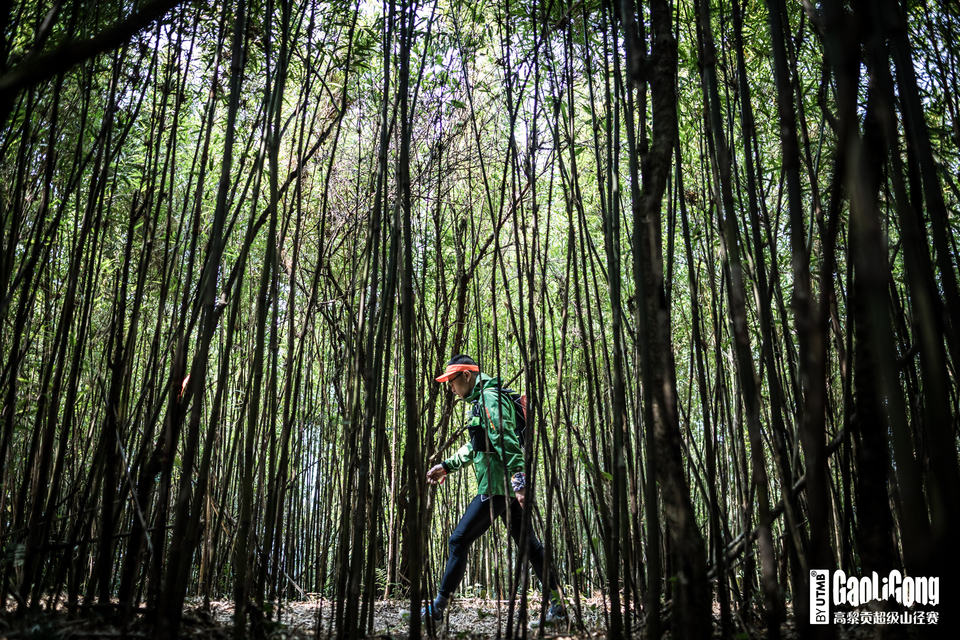 20180310_(c)DavidGonthier_0967