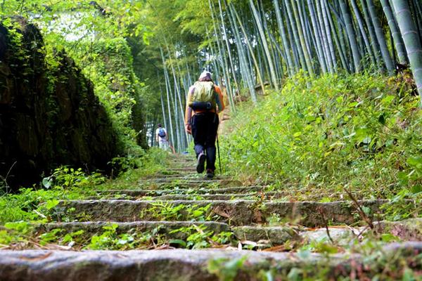 【古道探秘】漫步“上青古道”寻访兰若寺，赏悠悠竹海