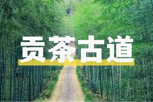 5.2|儿童独立营｜一脚跨两省徒步贡茶古道，吃农家菜+套大鹅/爆米花/叫花鸡/射箭 ，解锁乡野童趣！