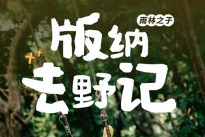 版纳｜5天4晚｜版纳&普洱两地解散+雨林秘境+曼听公园+野象谷+傣族园+中科院植物园（2-7人团）