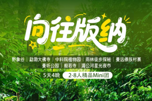 2.16-20/2.18-22 | 版纳野象谷-勐泐大佛寺-中科院植物园-曼远傣族村寨-曼听公园-般若寺-湄公河星光夜市