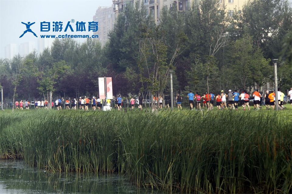 环伊赛13