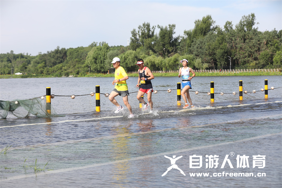 1P0A1131_调整大小