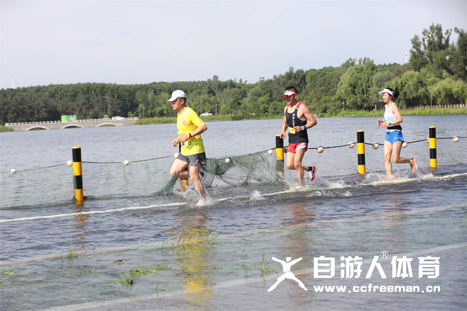 1P0A1135_调整大小