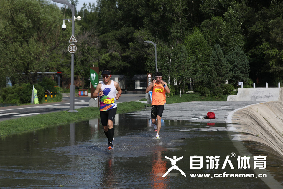 1P0A1177_调整大小