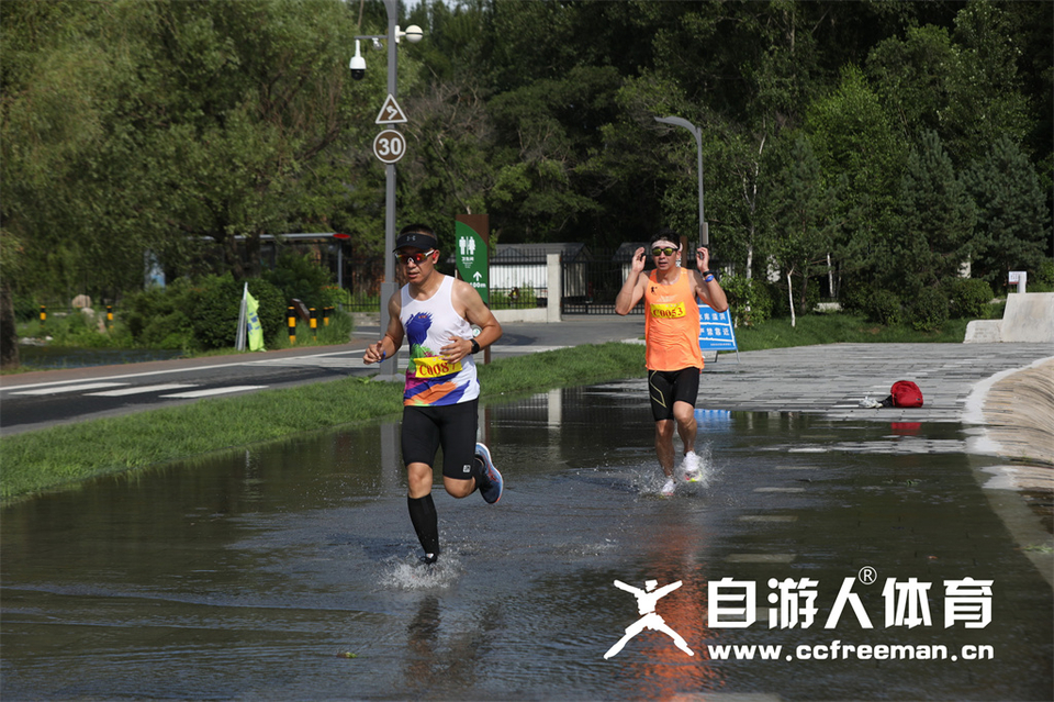 1P0A1178_调整大小