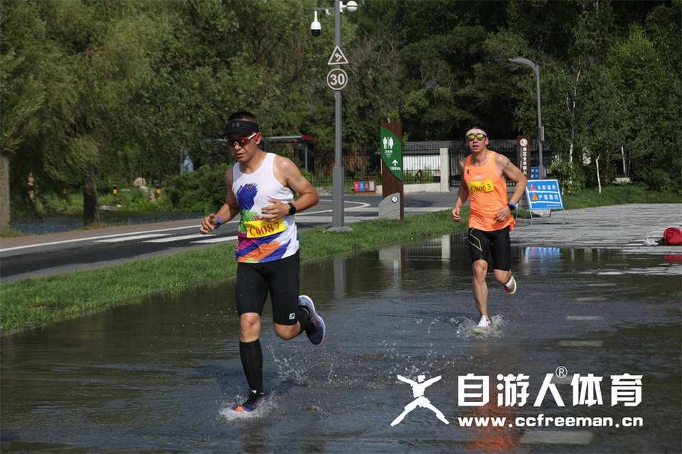 1P0A1181_调整大小