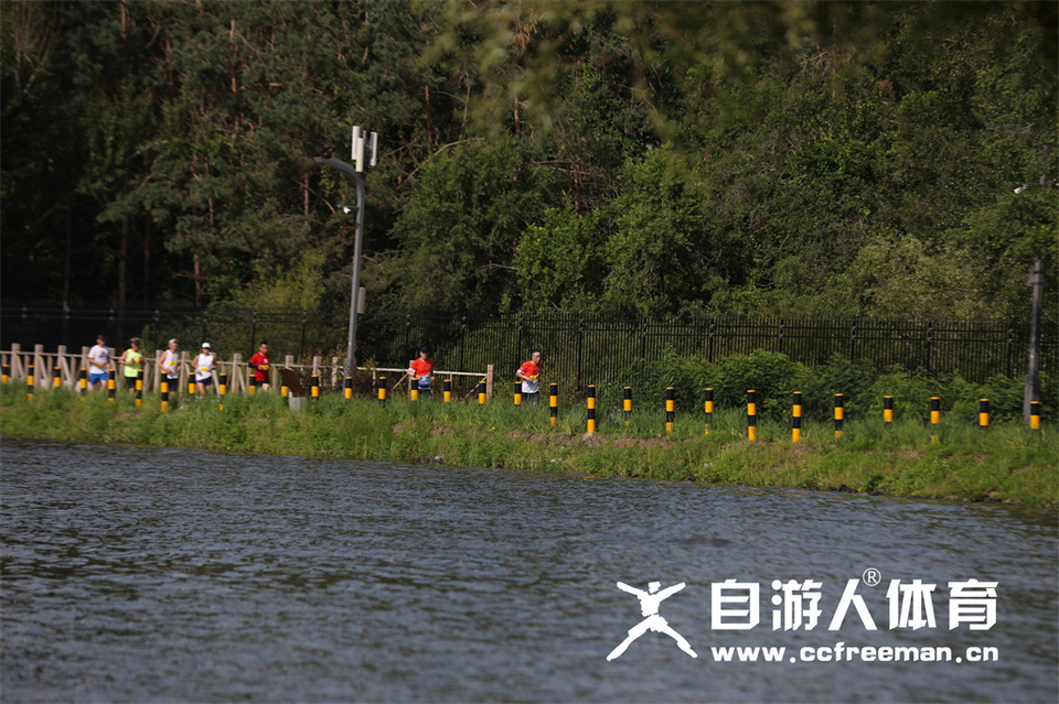 1P0A1235_调整大小