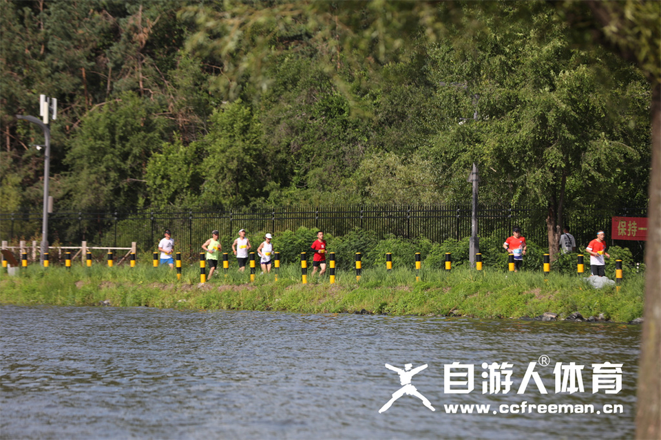 1P0A1241_调整大小