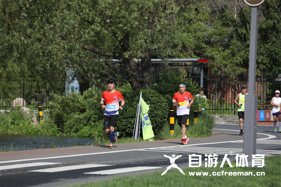 1P0A1246_调整大小