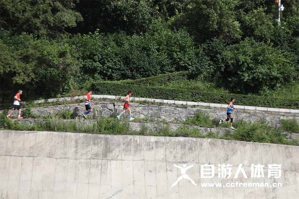 1P0A1263_调整大小