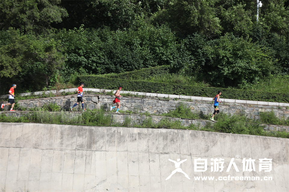 1P0A1264_调整大小