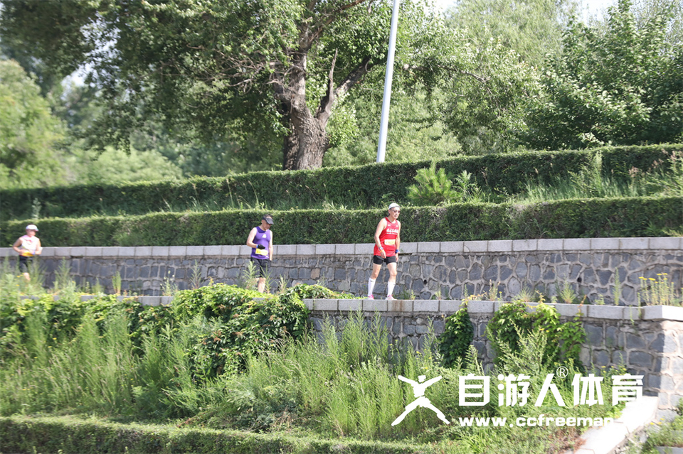 1P0A1286_调整大小