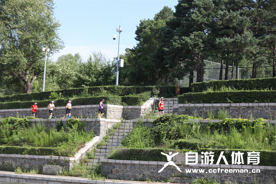 1P0A1290_调整大小