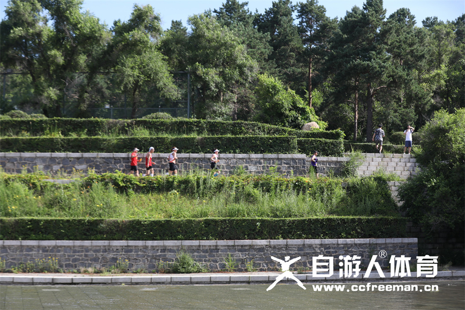 1P0A1297_调整大小