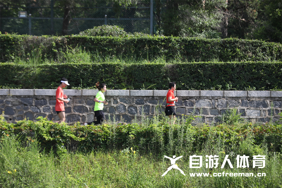 1P0A1301_调整大小