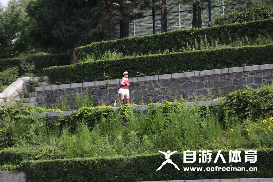 1P0A1308_调整大小