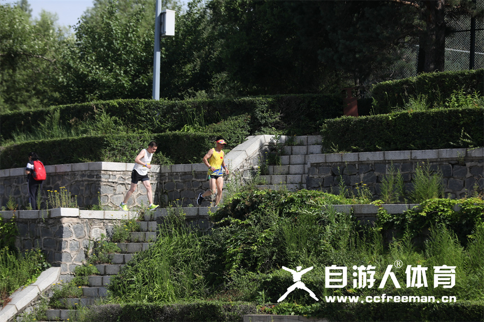 1P0A1405_调整大小