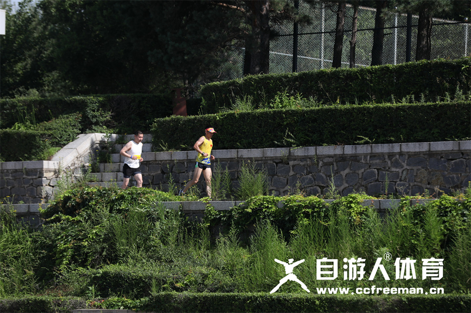 1P0A1409_调整大小