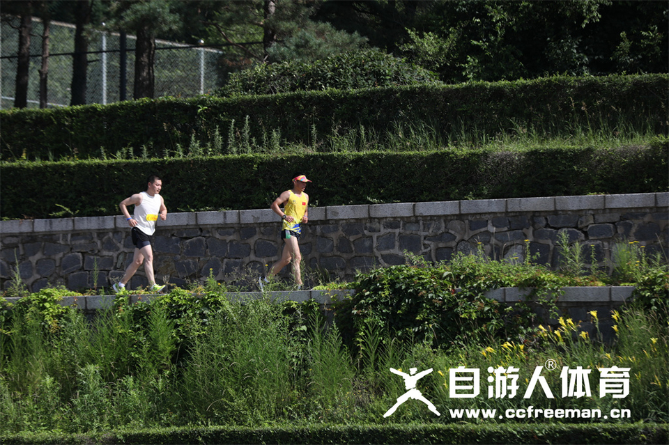 1P0A1410_调整大小