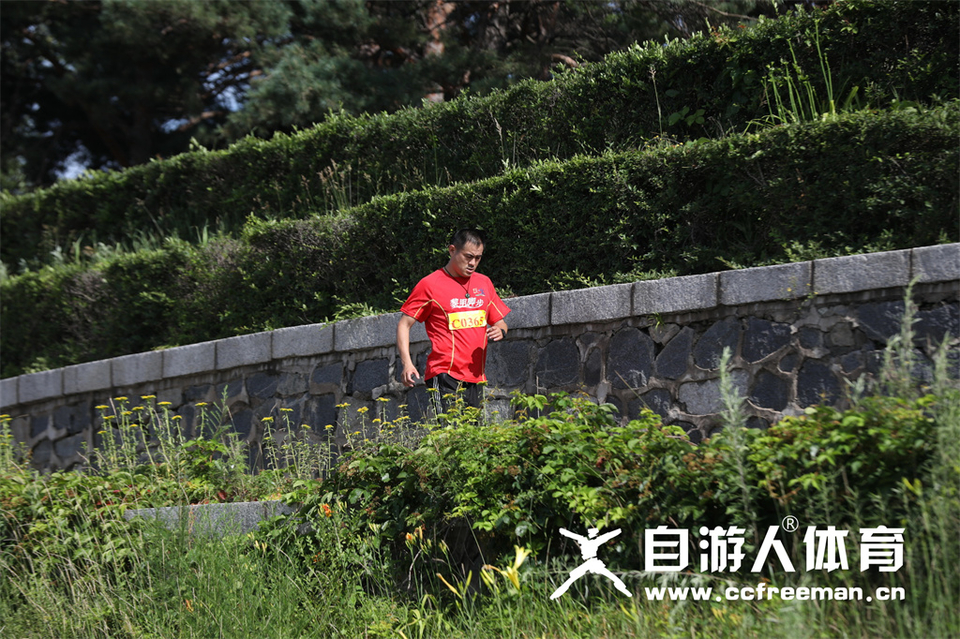 1P0A1446_调整大小