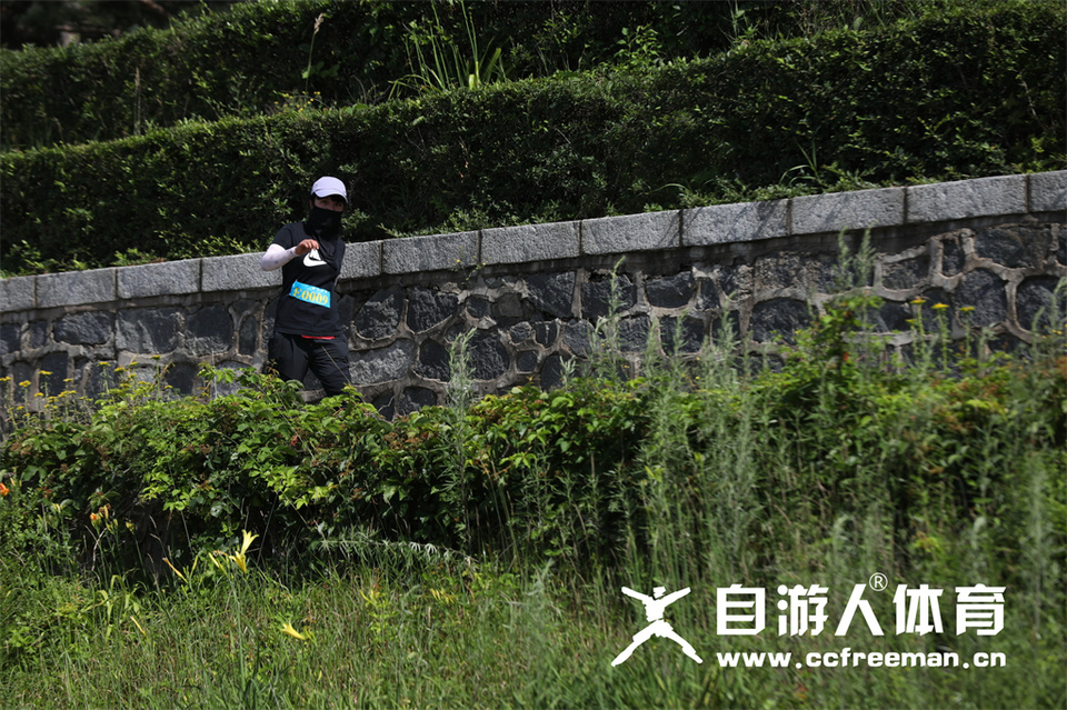 1P0A1831_调整大小