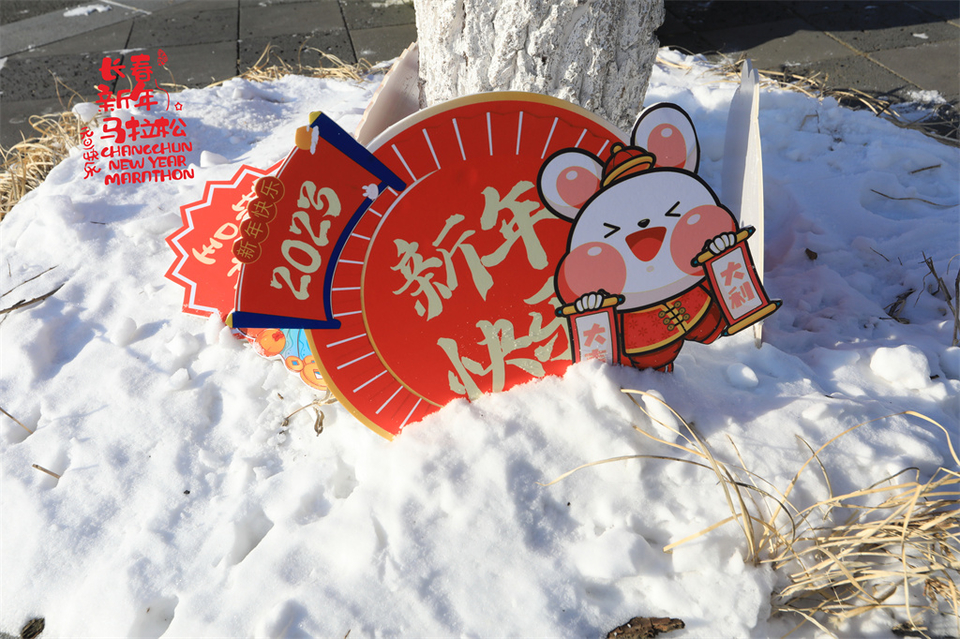 1P0A0064_调整大小