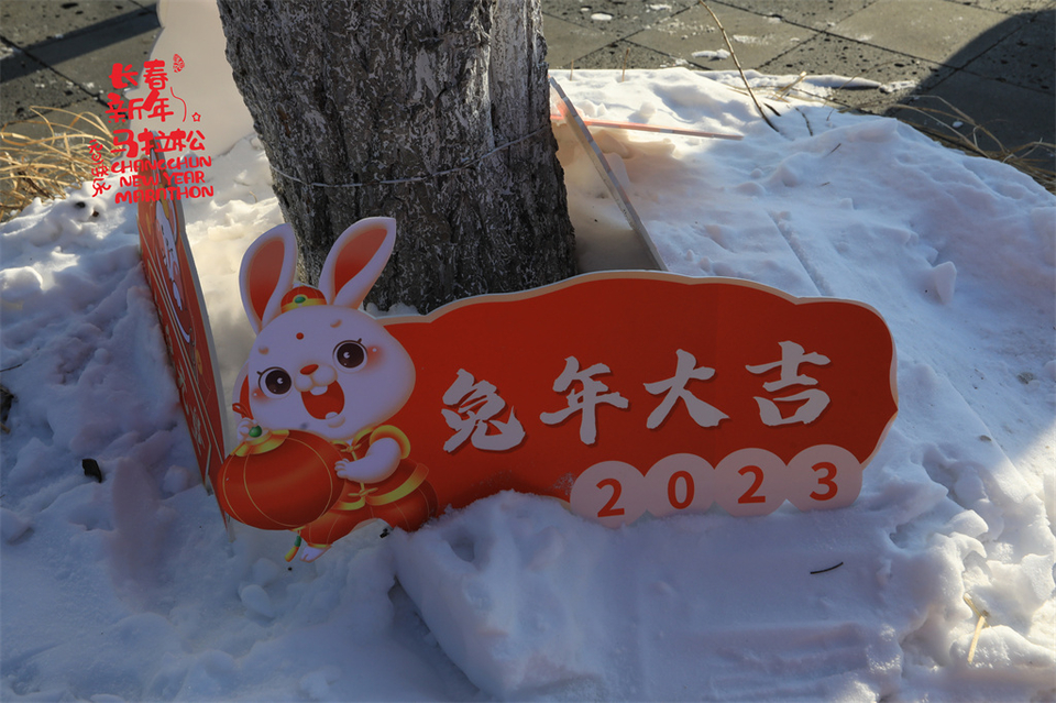 1P0A0071_调整大小