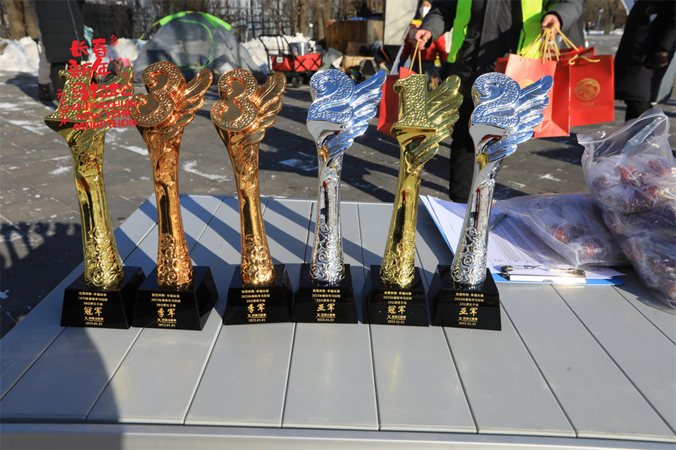 1P0A0263_调整大小