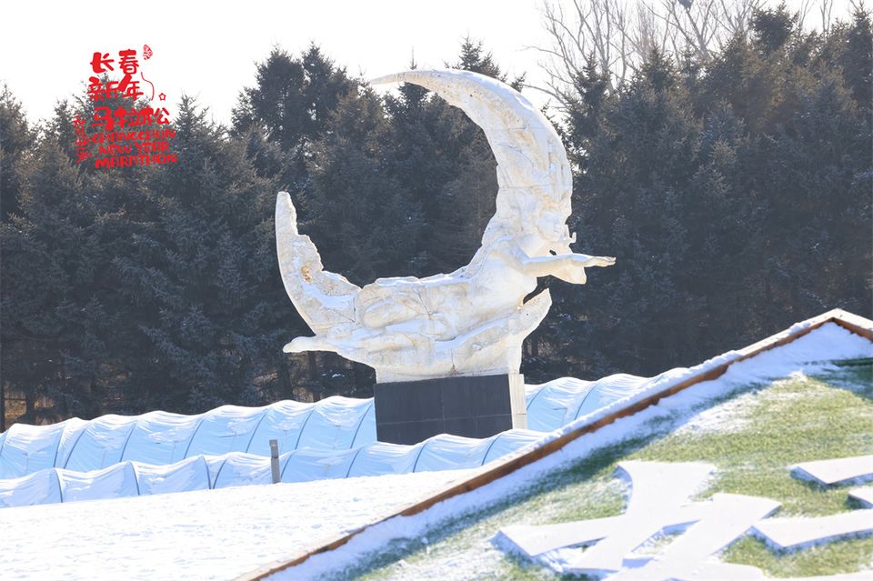 751A1582_调整大小