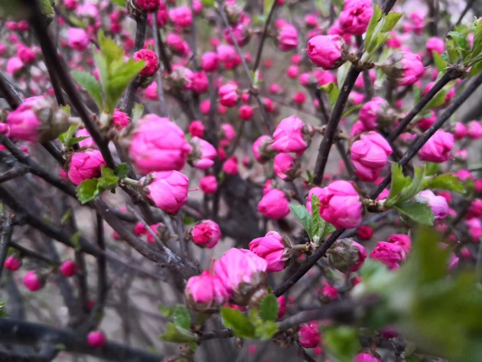 DCg9JYOCKLDQlK8RyFOtnzhoNdM_5SPXiFRfcGWAdV9yM7gnJfeKddZX_0AecG3N