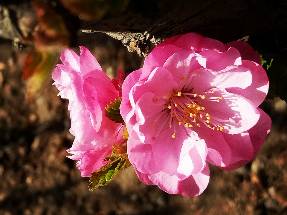 k1ZxnK2-ojVK_zYvkxKNHbfkFy2ODbEbNedNf_2oJEHZz2noxyWJguTRT4jHCTM3