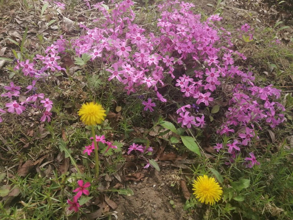 tG7gF0Uc7yuUL8TXE8D-Dh1o7xOxpGitcC7syrXVntQ6_LkiI9ZahDac2k0tnpHC