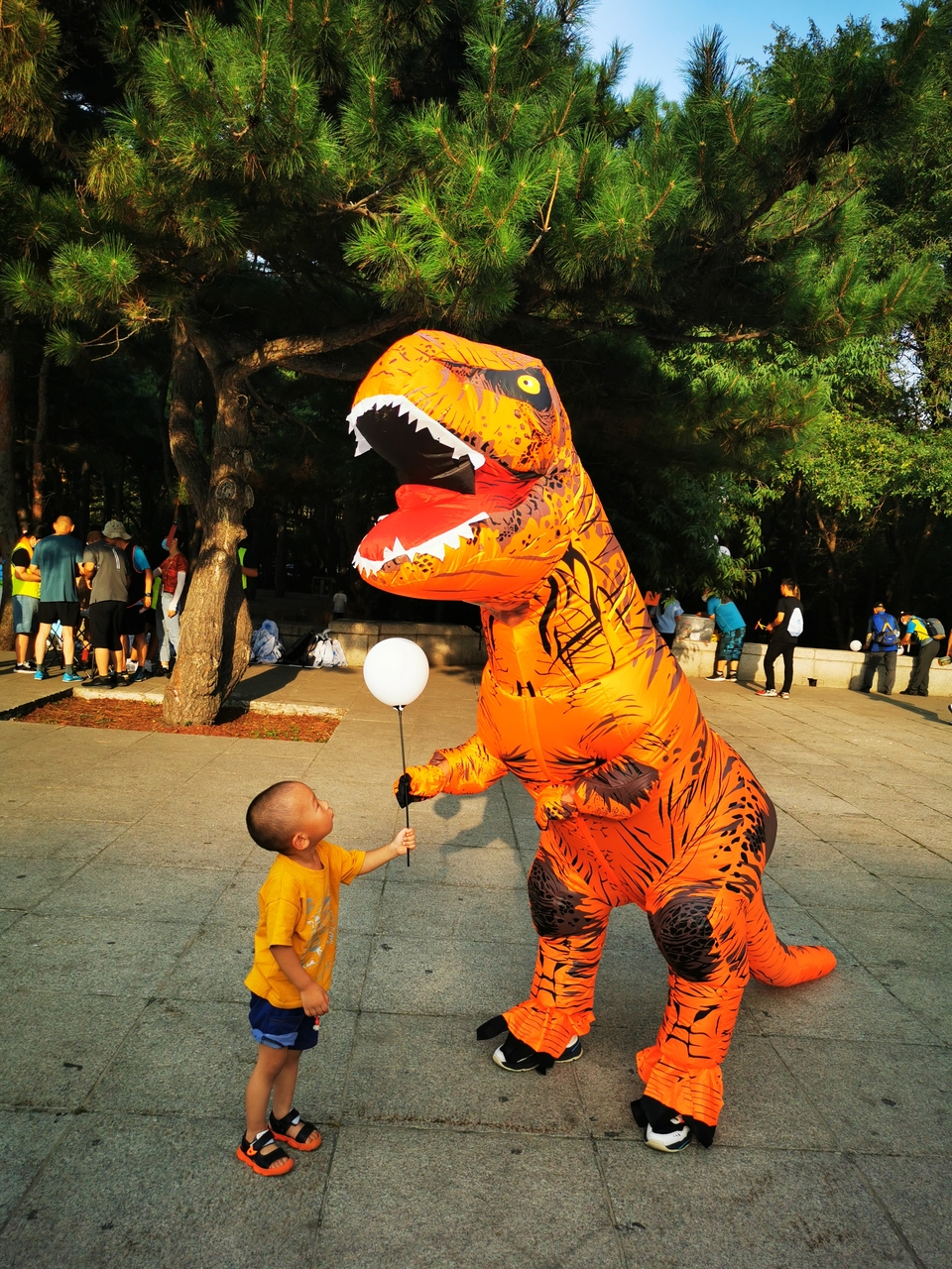 CSmeITkGT78m2DBkuU3JT5oR_0KZTlhG_lyw3Imd2vq-IoArxdDSsBTBLfS1LCBt