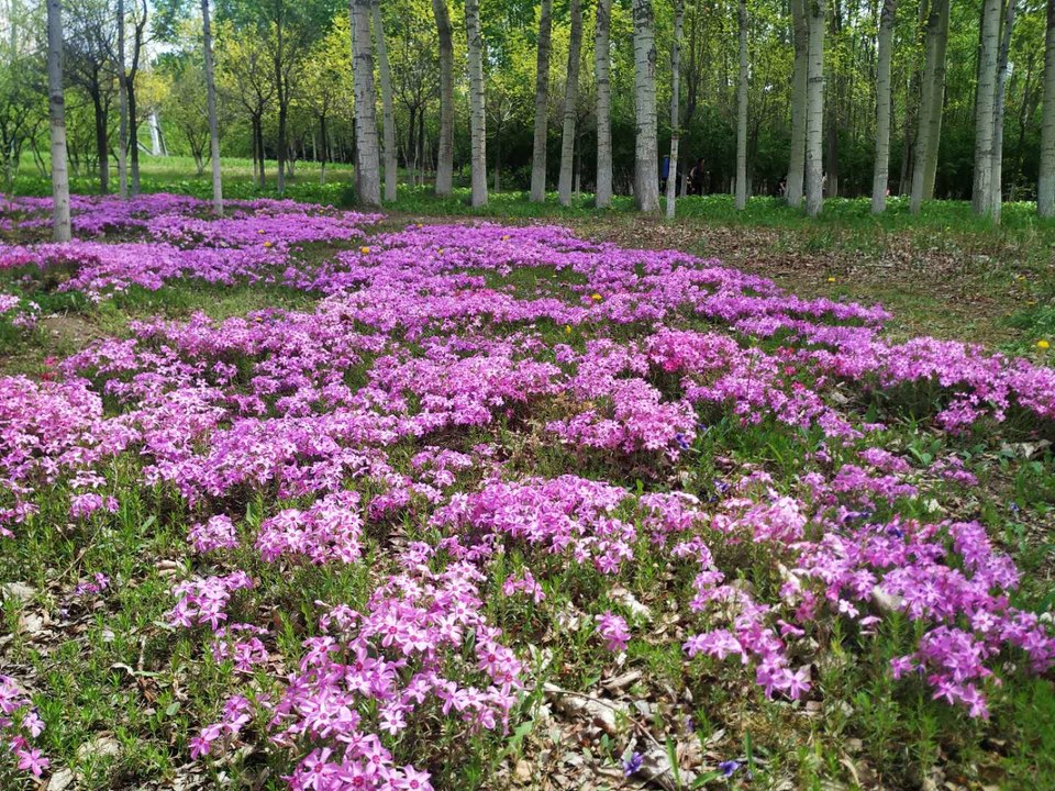 X-j5KwCkPnTUh22UnmB5SS2hFpfMzdxHSrELklQEWiAORe9UCgfoc1NV4X1wG8pF