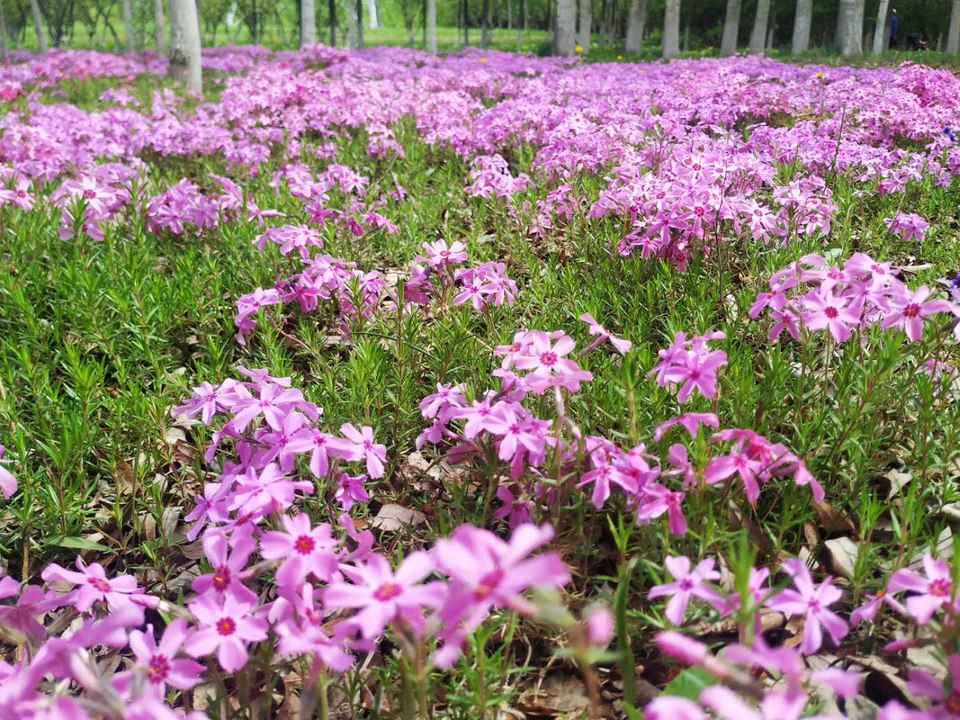 wvF5Qs7AKjIhqIsVA_9LYO82X00tzecPydDxxiM643CpzUkWhRraoYOkseLsm9rc