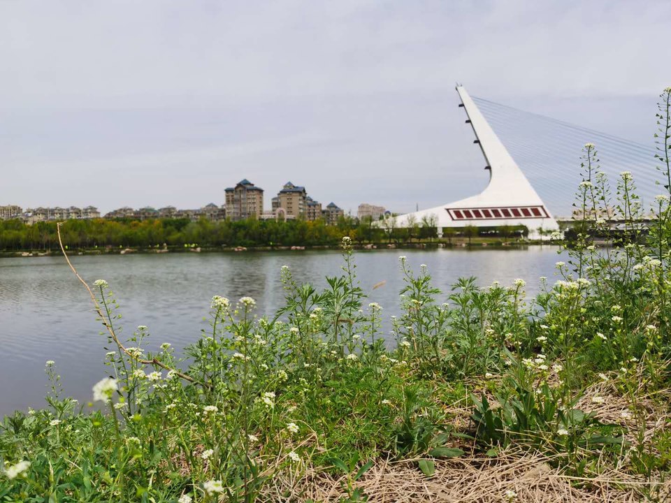 fWCkPqsTh1GUtSfOTFe9eq8onGd1VN7pm6wZ6xpH54iVHV5Pi5ExRJATtAziCgdJ