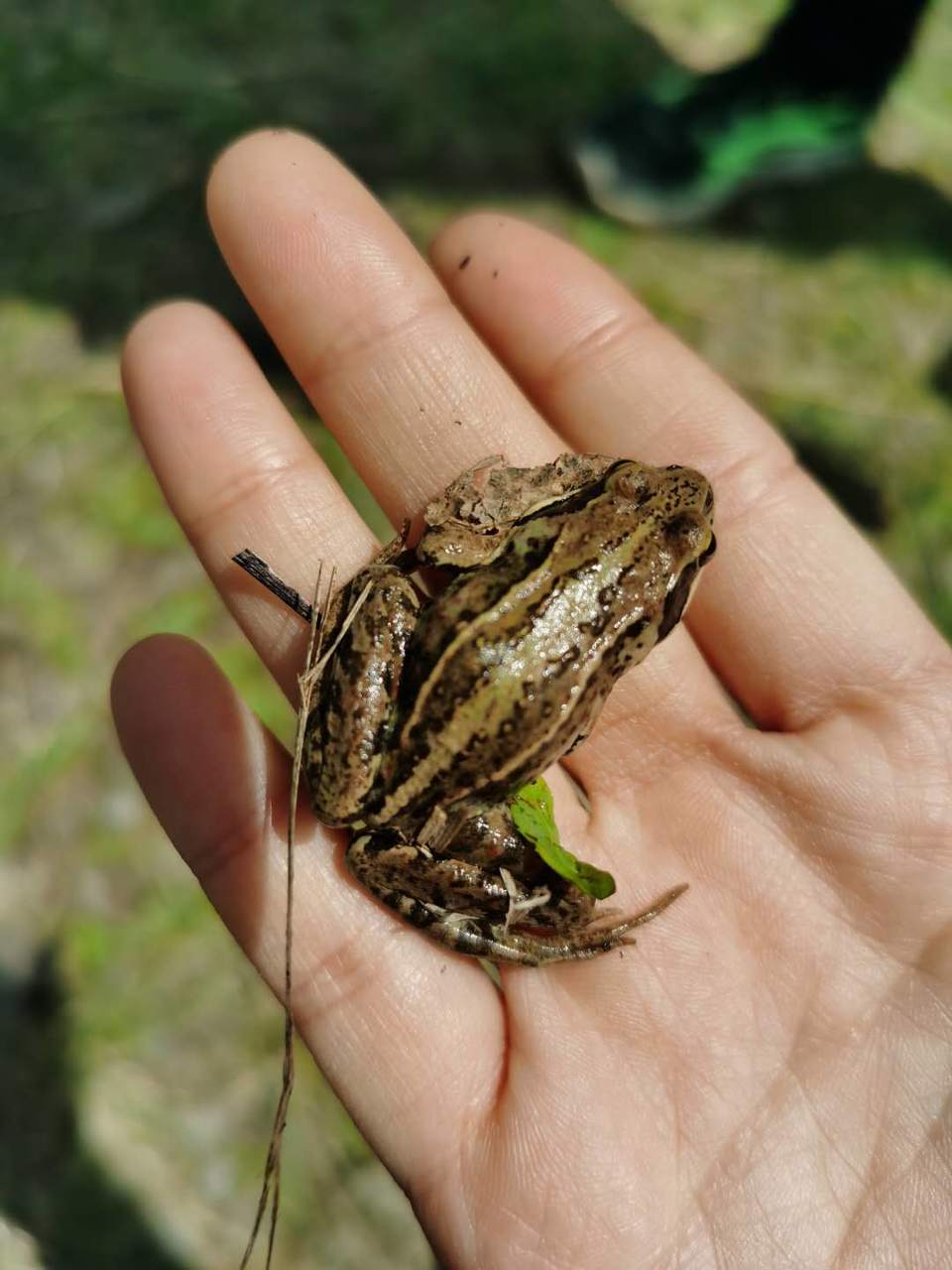 2BOvFNfglmD08ZqRuEHVL2ONEurrbsNesWhfCkc16fpC60HlD1-4lmracIfsN6Yc