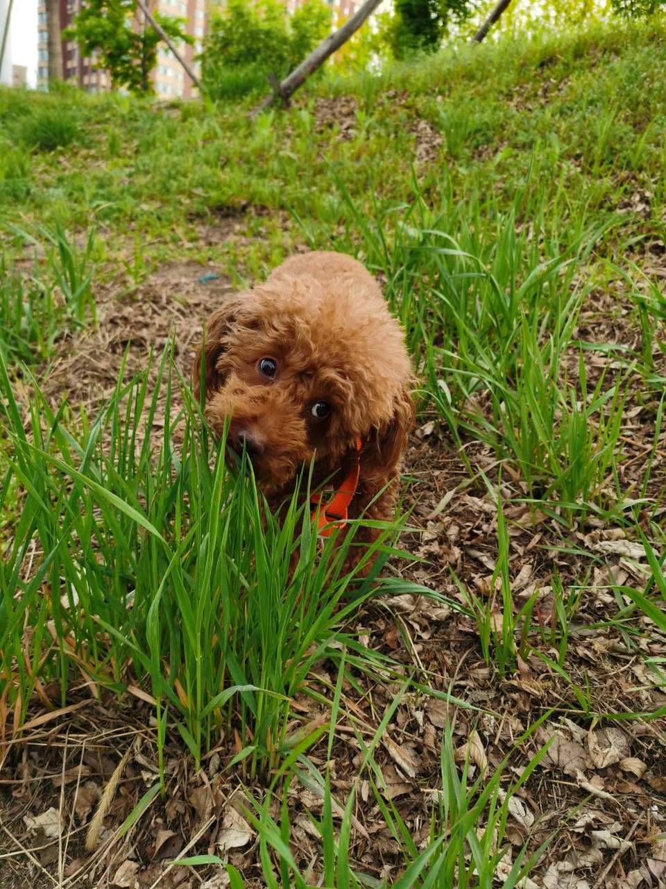 D6idQ4885XLTgPH3xZDoJrI2KVx21g6EOQb-UlxwEp8zlOByPjqyhvTzvAACTqTU