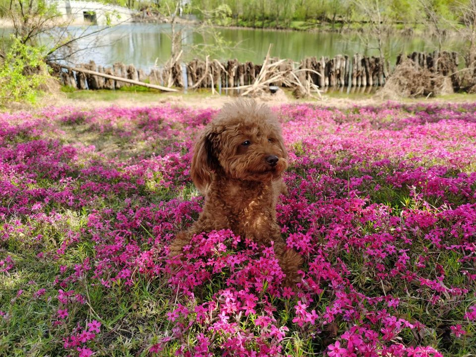 deRNpU_Fy0tg9ltgoo2AO2pIt1rjMZGc3r4AWFipePpm4hFqYmOrkR6PFHXNNxZq