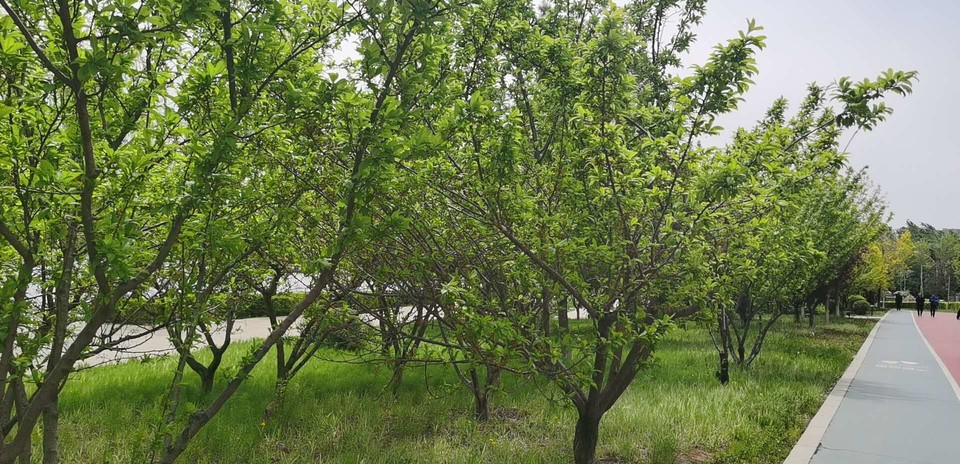 6fYB5ebfoNL7LdPQuA1UBV6oHno42JtpH5hpsW4dJTkq6iYyY34DiEIpq4XQvTGo