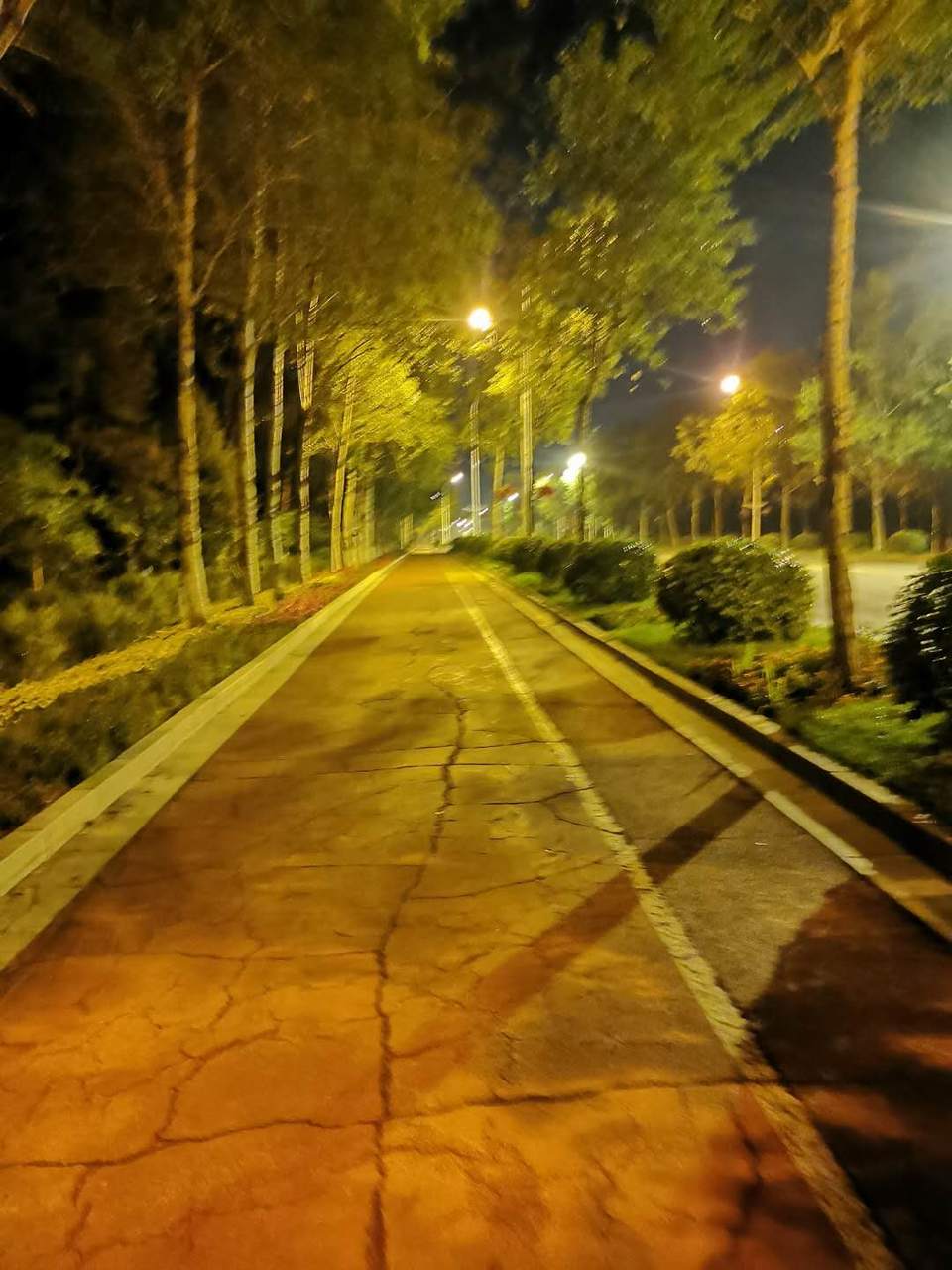 Qrk865dSGbIc26IHh0W8FhqsS2LsXyYduniZIHGWeY6l_gO-mjYesovQrKZbwljH