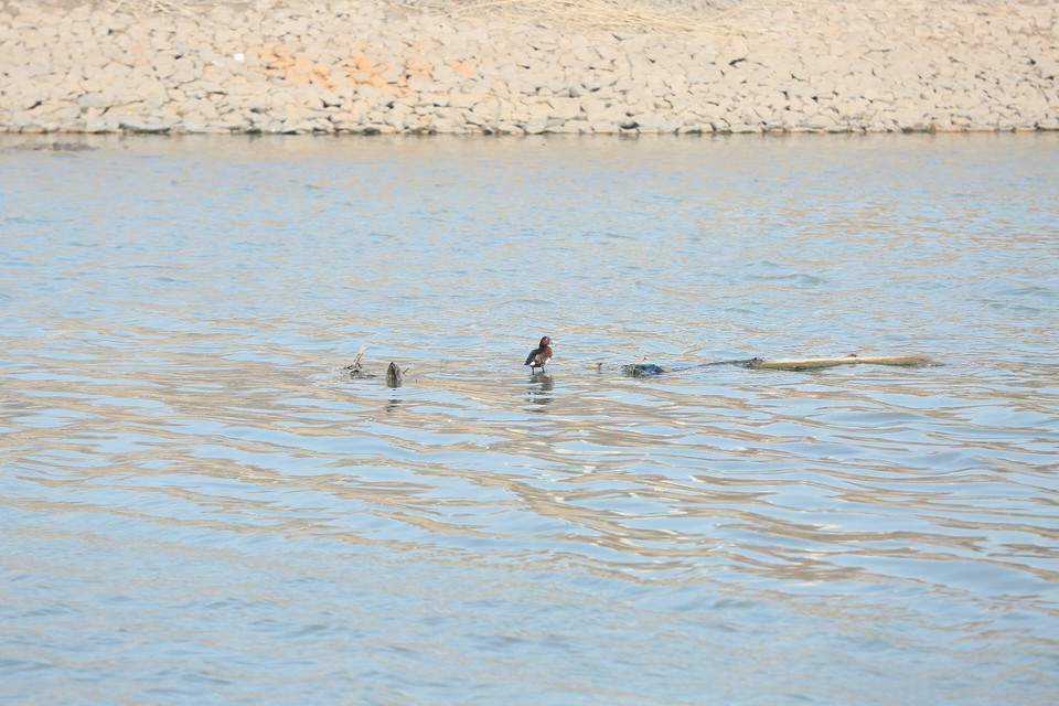 8fBhAYuvGkVS576aHDownWhbDa08nkus-WgkPgt1uxT_feHFTH9Q1NMKbhUnzBb5