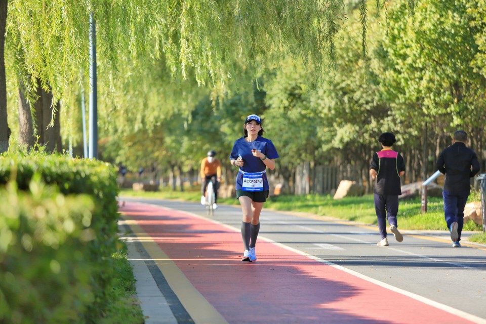 rBZf2IZnsCaV8UBAddNvyFhTaWUXo6LQCs1WtaTLcVPls0UO0SQHFkJzsL1OoQyi