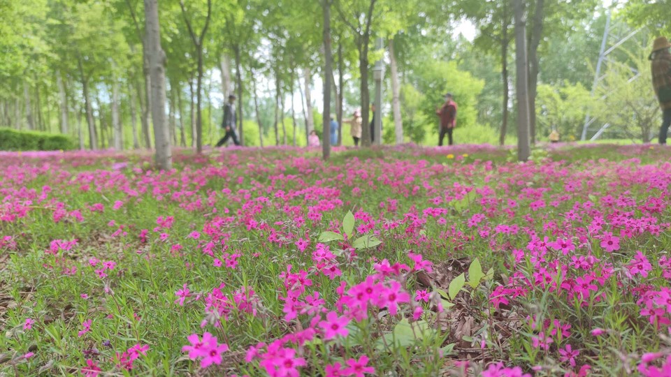 oAFoVFG97NDA7zYDfDOrapiV5En5UA6rEb0WZE4aOv9WT5sbLQlv2dIecjZFS5dR