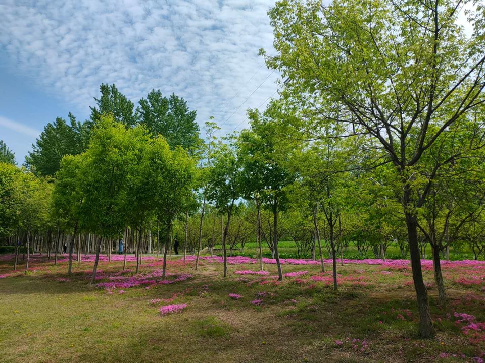 sWgoCYVfR0L8J5CR4iPpZpd8fWwwaV2okrkwSmrWUMVzrdRLFJpgSuW9wBWISJ9y