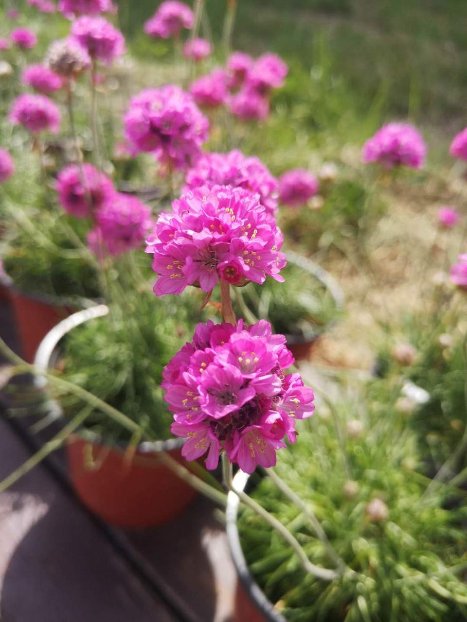 _RvmaBN51klOyW5gJ0QtgnkqP_D9KKeViH6JIJNzunYnx0fX3FRTnV7YM2du9T44