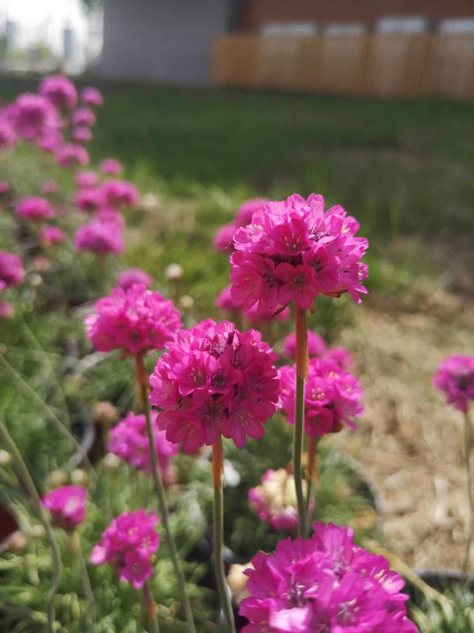 nsH4I_ggCUrzoTeohzMUGihq3kGcSI_Cvl90TBOsxz9eDMr8x16kb9er56GLwP94